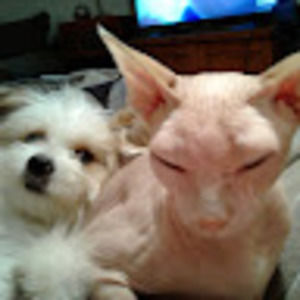 Meet your Posher, Deborah